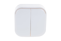 Выключатель двухклавишный открытого типа 250V Schneider